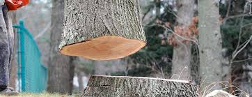 Best Emergency Tree Removal  in Turnersville, NJ