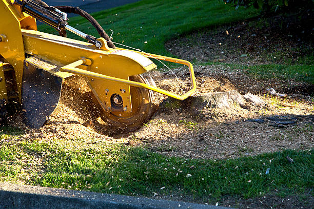 Best Aeration Services  in Turnersville, NJ
